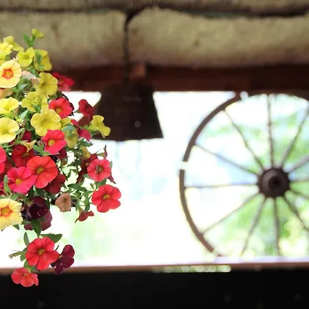 Pensión Chata U Rybare 3*